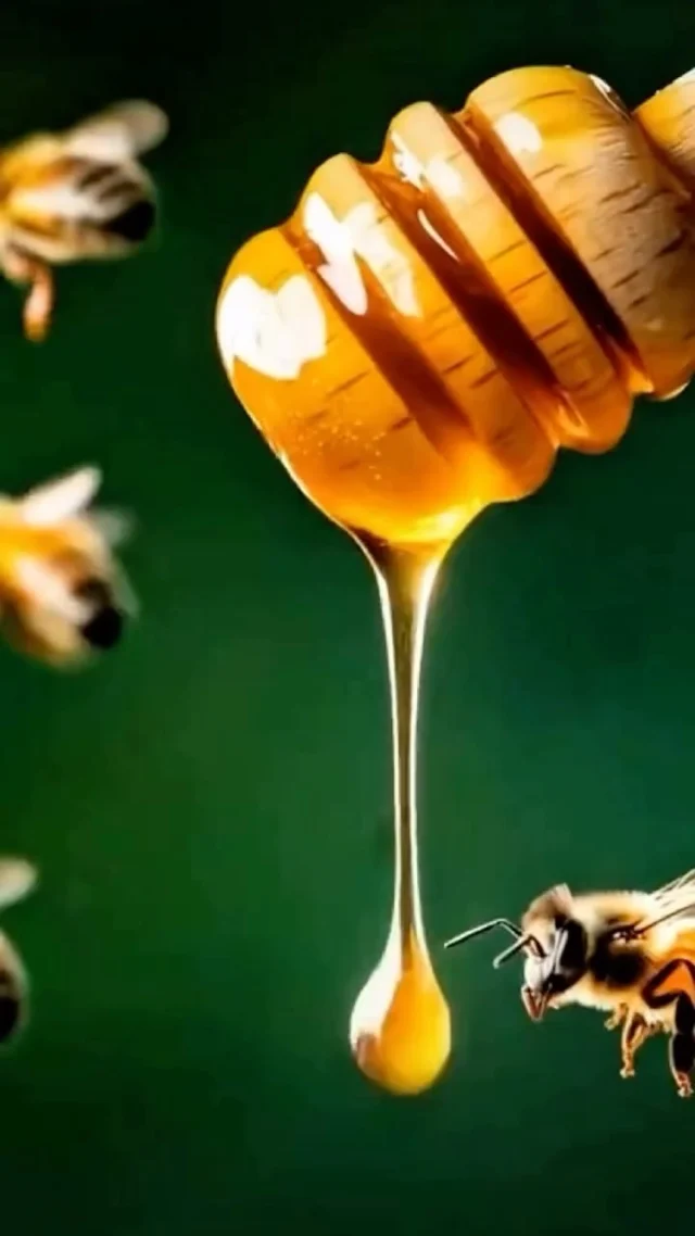 Silky skin, sweet scent, and the ultimate pamper moment 
Welcome you to enjoy our new 
Honey & Milk Pedicure Package🍯🐝🥛
COMING SOON!✨
#expertpedicure #honey #milk #nail #luxurynails